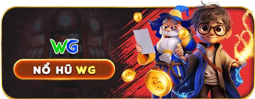 Hướng dẫn cho người mới bắt đầu
